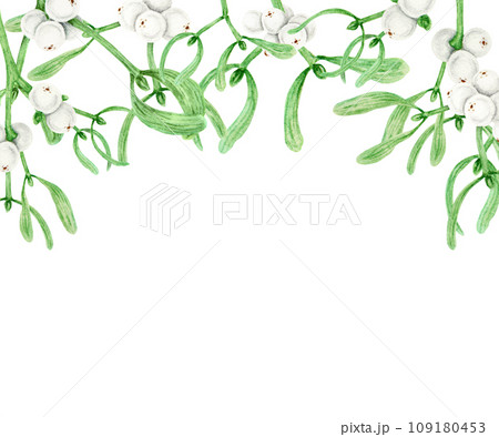 Frame, border of Mistletoe evergreen branches with leaves and white berries. Watercolor hand drawn botanical illustration of Christmas symbol. Clipart for winter prints, greetings, invitations Frame, border of Mistletoe evergreen branches with leaves and white berries. Watercolor hand drawn botanical illustration of Christmas symbol. Clipart for winter prints, greetings, invitations 109180453