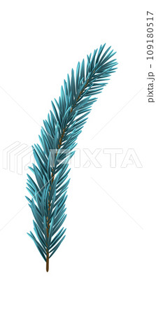 Blue Christmas Fir Branch 109180517