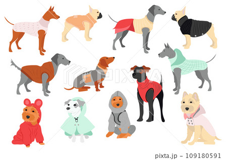 Cute dogs in canine clothes mega set in flat design. Bundle elements of different breeds puppies in funny winter coats, warm sweaters and other outfits. Vector illustration isolated graphic objects Cute dogs in canine clothes mega set in flat design. Bundle elements of different breeds puppies in funny winter coats, warm sweaters and other outfits. Vector illustration isolated graphic objects 109180591