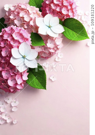 Spring background with beautiful pink hydrangea.のイラスト素材 [109181220] - PIXTA