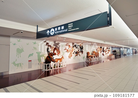 新千歳空港 シュタイフディスカバリーウォークの風景 109181577