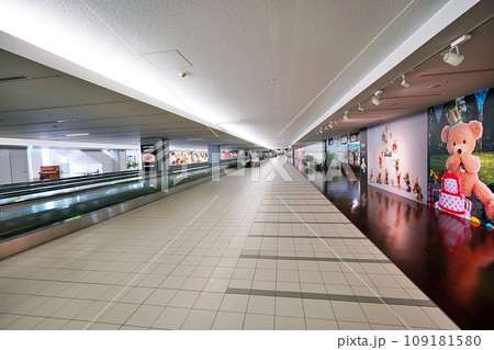 新千歳空港 シュタイフディスカバリーウォークの風景 新千歳空港 シュタイフディスカバリーウォークの風景 109181580