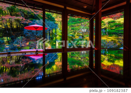 紅葉の旧竹林院(滋賀県大津市) 紅葉の旧竹林院(滋賀県大津市) 109182387