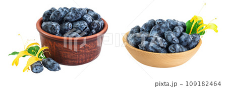 Fresh honeysuckle blue berry in ceramic bowl isolated on white background with full depth of field 109182464