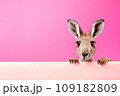 Funny lively kangaroo isolated on pink background. Banner with kangaroo and copy space 109182809