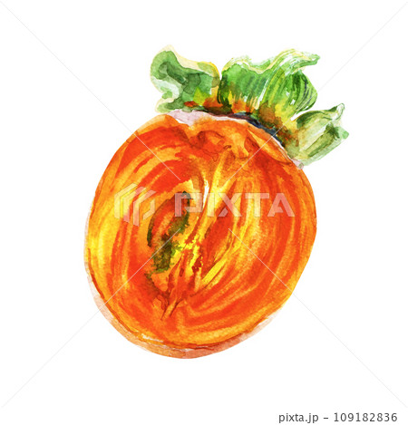 Hand drawn watercolor persimmon, isolated on white background. Delicious fruit clip-art illustration. Realistic painting,would look great on fabric, kitchen towels or food packaging 109182836