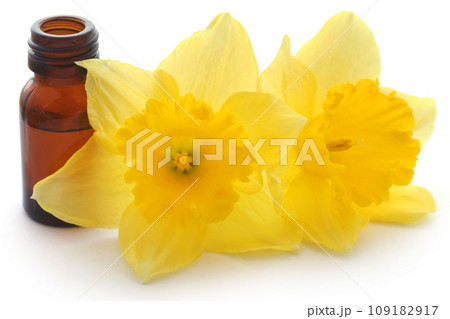Flower daffodil with essential oil Flower daffodil with essential oil 109182917