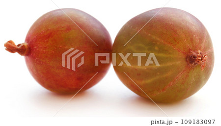 Fresh ripe gooseberry 109183097