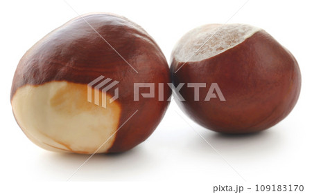 Horse chestnuts Horse chestnuts 109183170