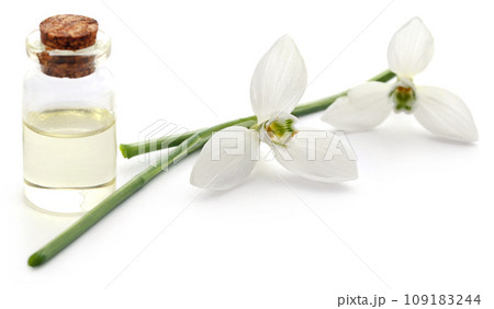 Snowdrop with essential oil in a bottle 109183244
