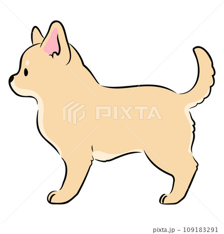 横向きで立つ少しリアルな可愛いチワワのイラスト 主線あり 横向きで立つ少しリアルな可愛いチワワのイラスト 主線あり 109183291