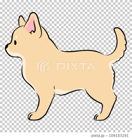 横向きで立つ少しリアルな可愛いチワワのイラスト 主線あり 横向きで立つ少しリアルな可愛いチワワのイラスト 主線あり 109183291