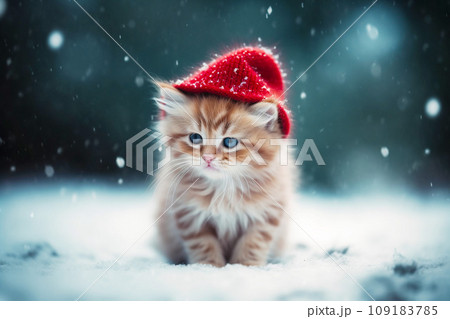 Cute cat wearing a red christmas hat outside in a snowy, winter background 109183785