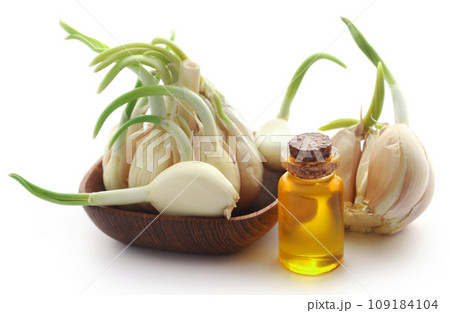 Garlic with mustard oil in a jar 109184104