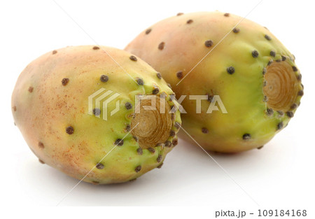 Prickly pear 109184168