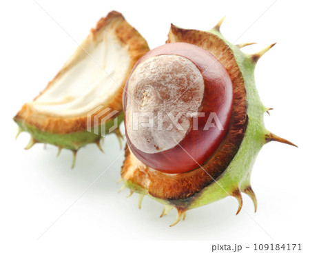 Horse chestnuts 109184171