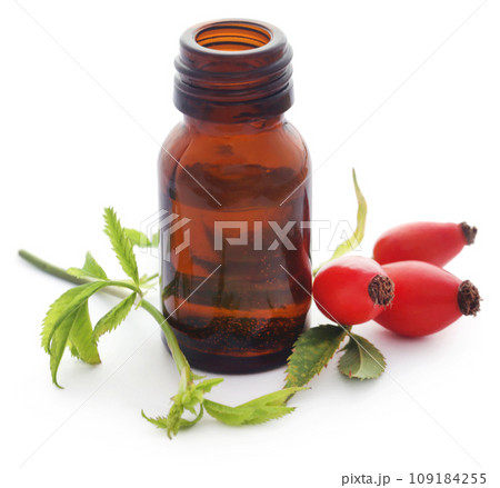 Medicinal Rose hips with essential oil in a glass bottle Medicinal Rose hips with essential oil in a glass bottle 109184255