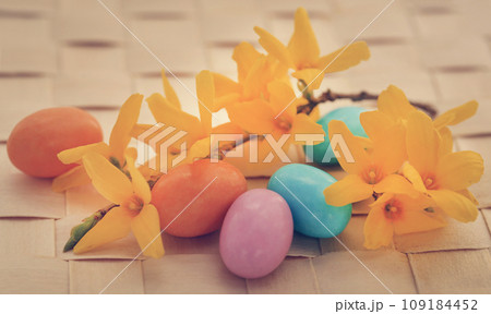 Easter egg with spring flower forsythia 109184452