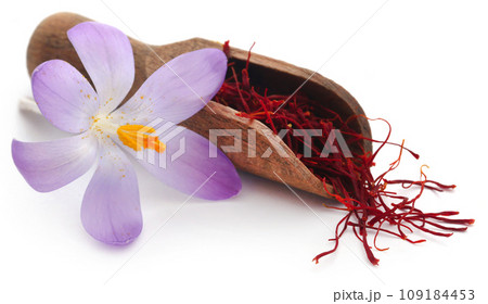 Saffron with crocus flower 109184453