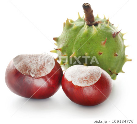 Horse chestnuts Horse chestnuts 109184776
