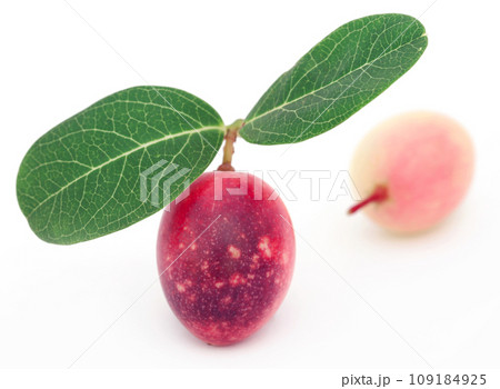 Koromcha or Carandas of Southeast Asia 109184925