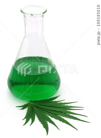 Cannabis leaves with extract in conical flask 109185010