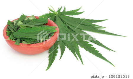 Cannabis leaves 109185012