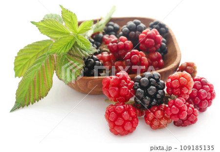 Fresh blackberries 109185135