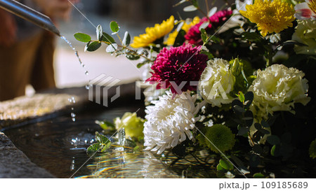 花手水 花手水 109185689