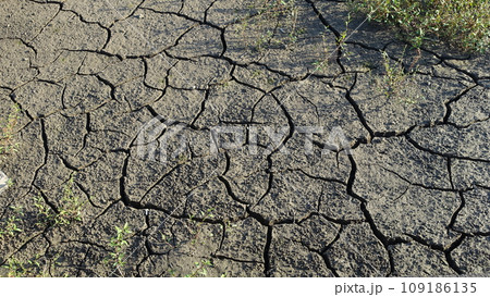 水不足　渇水　干ばつ　water shortage  water deficit 109186135