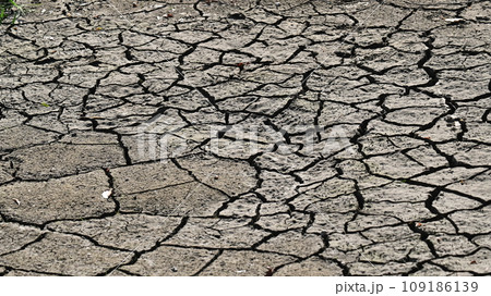 水不足　渇水　干ばつ　water shortage  water deficit 109186139