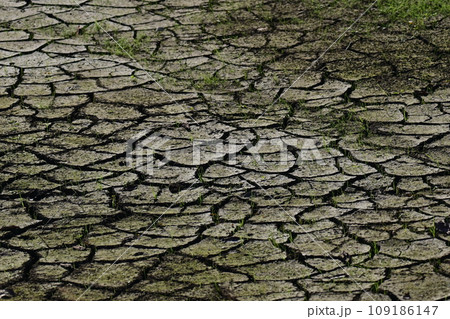 水不足　渇水　干ばつ　water shortage  water deficit 109186147