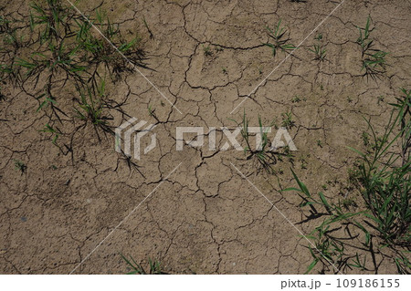 水不足　渇水　干ばつ　water shortage  water deficit 109186155