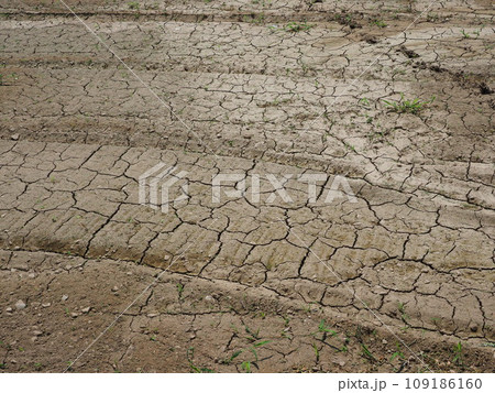 水不足　渇水　干ばつ　water shortage  water deficit 109186160