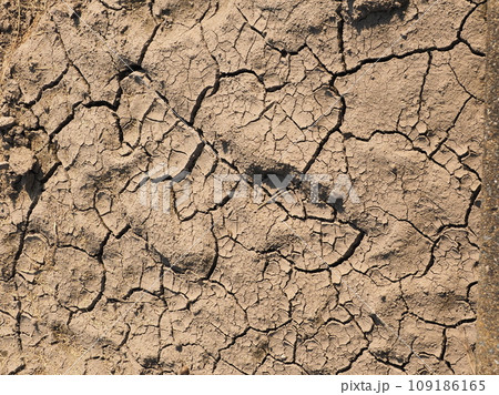 水不足 渇水 干ばつ water shortage water deficit 水不足 渇水 干ばつ water shortage water deficit 109186165