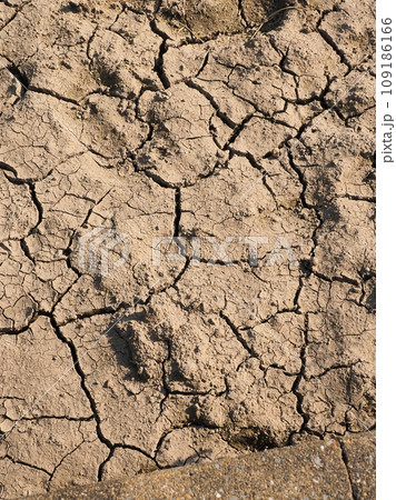 水不足　渇水　干ばつ　water shortage  water deficit 109186166