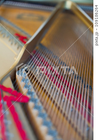 ピアノの弦 ピアノの弦 109186264