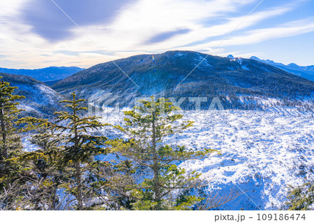【冬素材】雪の北横岳の登山風景【長野県】 109186474