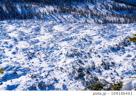 【冬素材】雪の北横岳の登山風景【長野県】 109186481