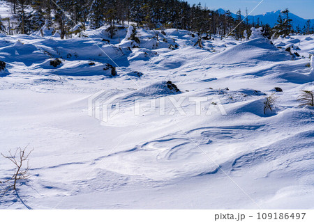 【冬素材】雪の北横岳の登山風景【長野県】 109186497