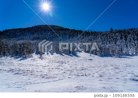 【冬素材】雪の北横岳の登山風景【長野県】 109186508