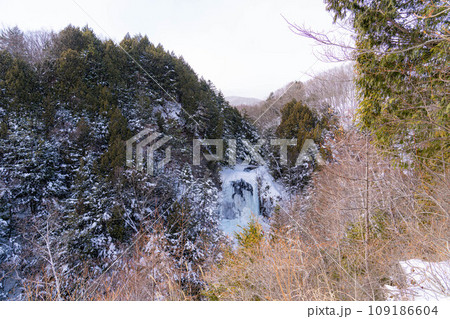 【冬素材】氷結した善五郎の滝【長野県】 【冬素材】氷結した善五郎の滝【長野県】 109186604