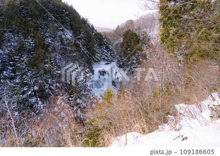 【冬素材】氷結した善五郎の滝【長野県】 109186605