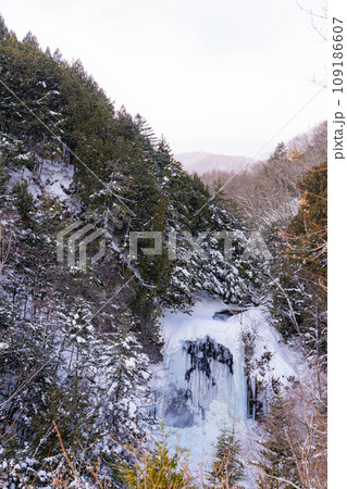 【冬素材】氷結した善五郎の滝【長野県】 【冬素材】氷結した善五郎の滝【長野県】 109186607