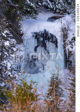 【冬素材】氷結した善五郎の滝【長野県】 【冬素材】氷結した善五郎の滝【長野県】 109186614