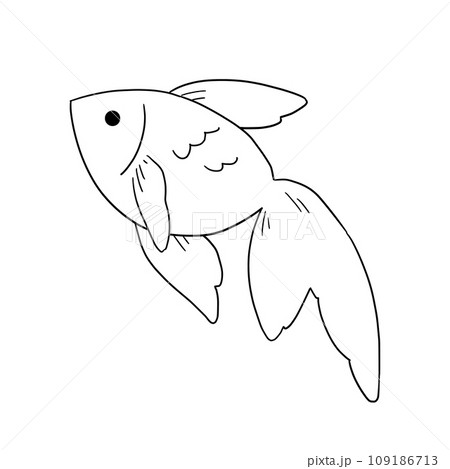 泳ぐ金魚のイラスト　線画 109186713