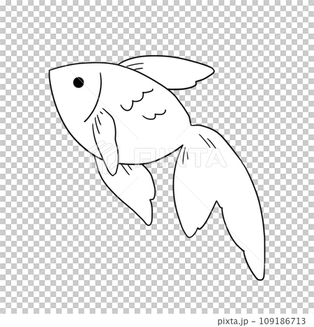 泳ぐ金魚のイラスト　線画 109186713