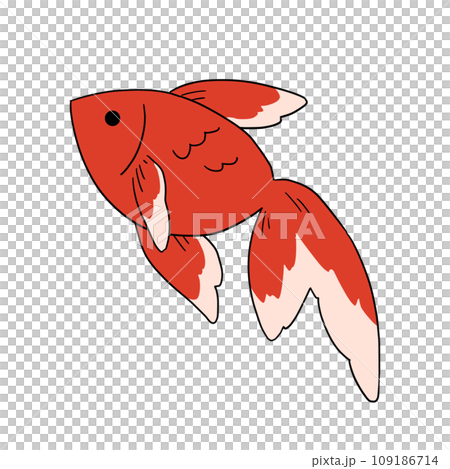 Illustration of a swimming goldfish 109186714