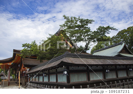 八坂神社 本殿 八坂神社 本殿 109187231