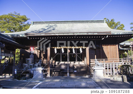 大井神社 島田市 大井神社 島田市 109187288